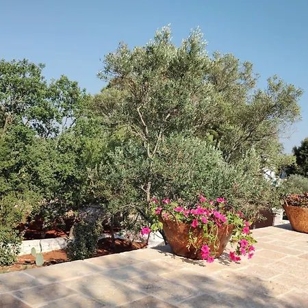 Trullo Emma *